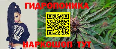 стаф Рязань