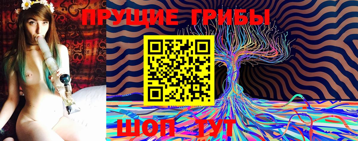 Псилоцибиновые грибы Magic Shrooms  Галлюциногенные грибы Cubensis  закладки  Асино  Вход с VPN 